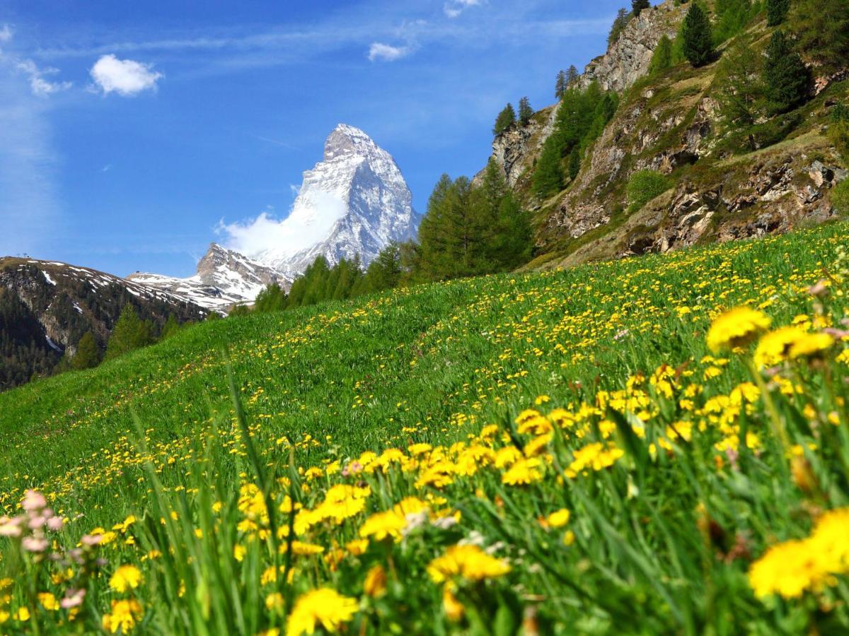 Studio Silence-4 By Interhome Zermatt Luaran gambar